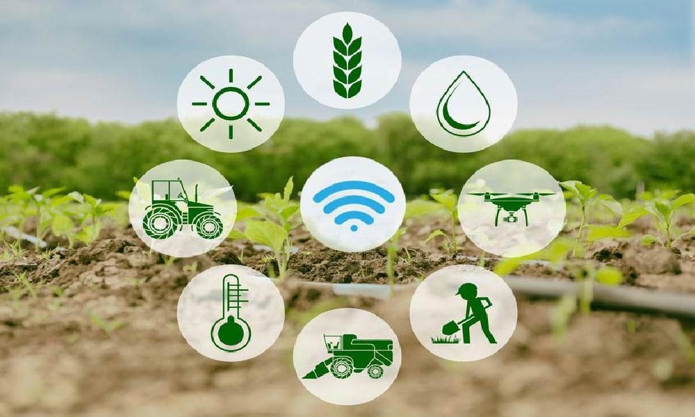 LoRaWAN for Agriculture